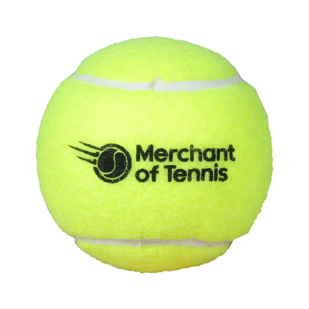 Dunlop ATP Championship - Extra Duty - MOT Logo Ball - Tennis Ball Case - Image 2
